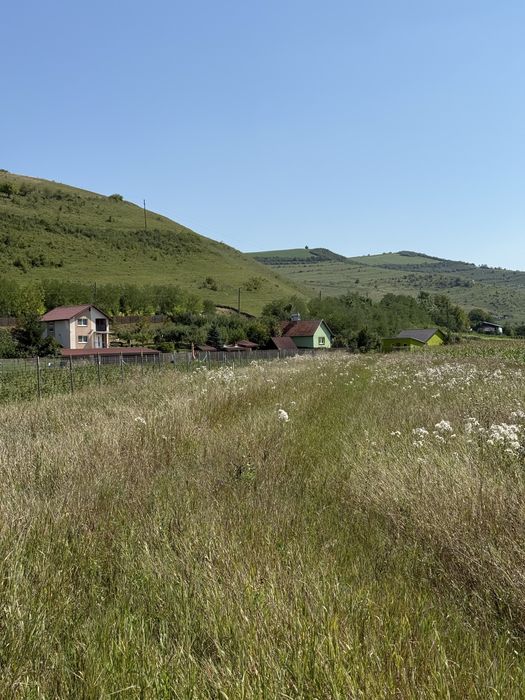 Teren pentru cabana Caianu