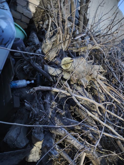 Quruq oʻtinlar sotiladi