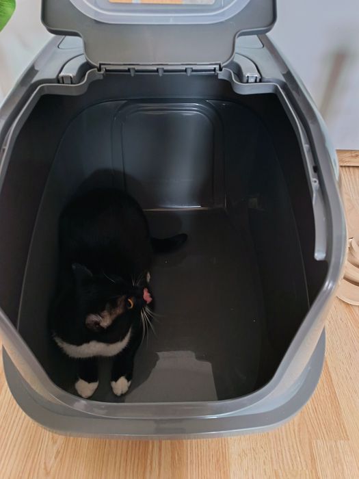 Toaletă Modernă Mega Deluxe 65,8x48,6x45,8 gri închis