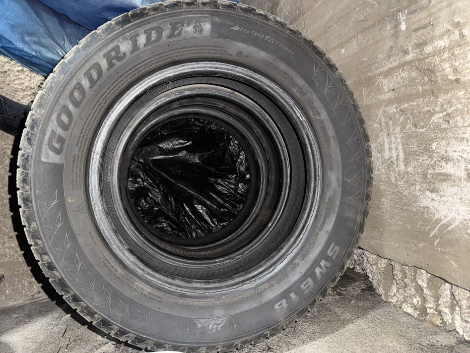Зимние шины GOODRIDE титанка