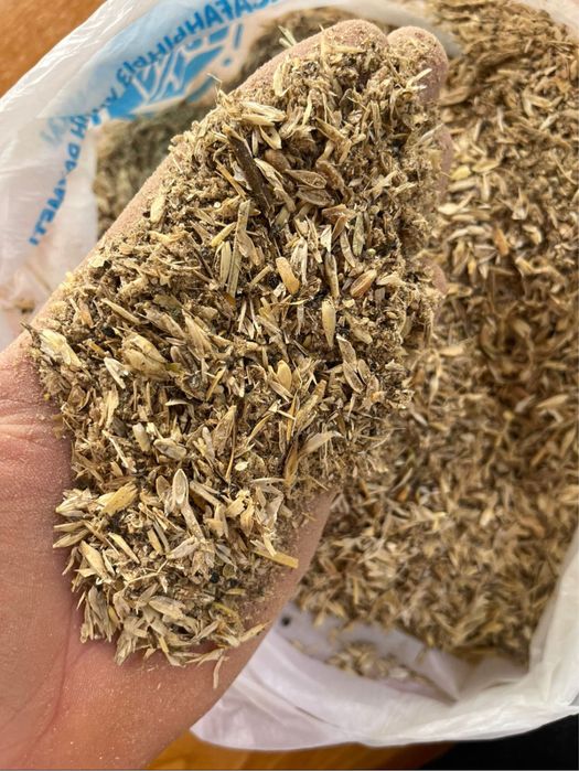 Полова пшеничная