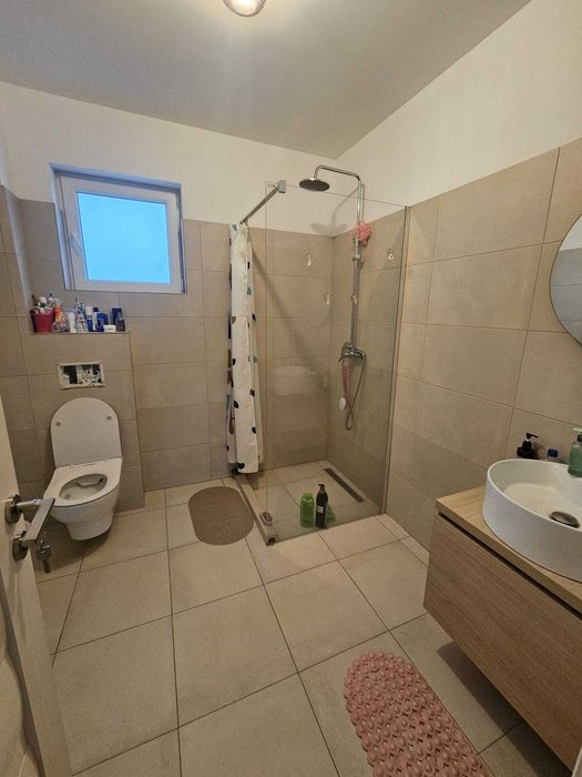 Vand casa in Branesti, Pasarea