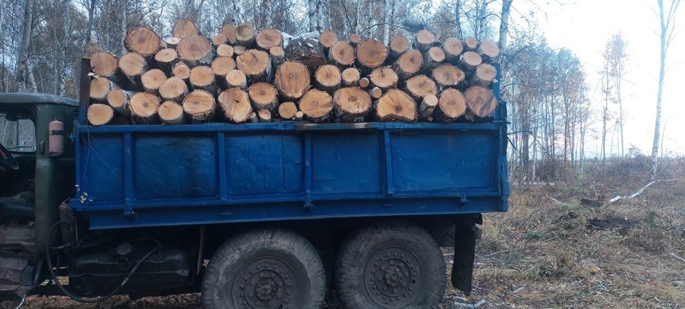 Продам дрова машина зил 131