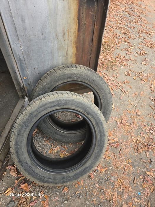 Транспорт    шины.