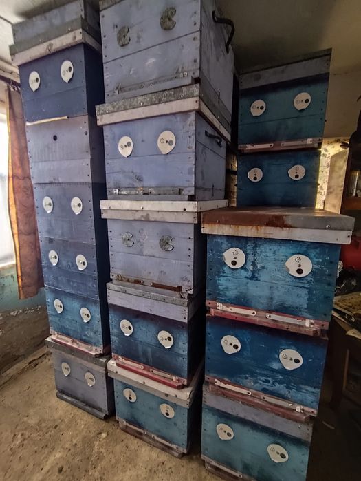 Продам улья 10 и 12 рамочные