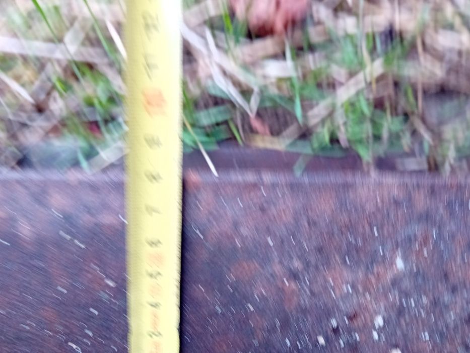 Греда двойно" Т "дълга 10 метра.С размери ,които се виждат на снимките