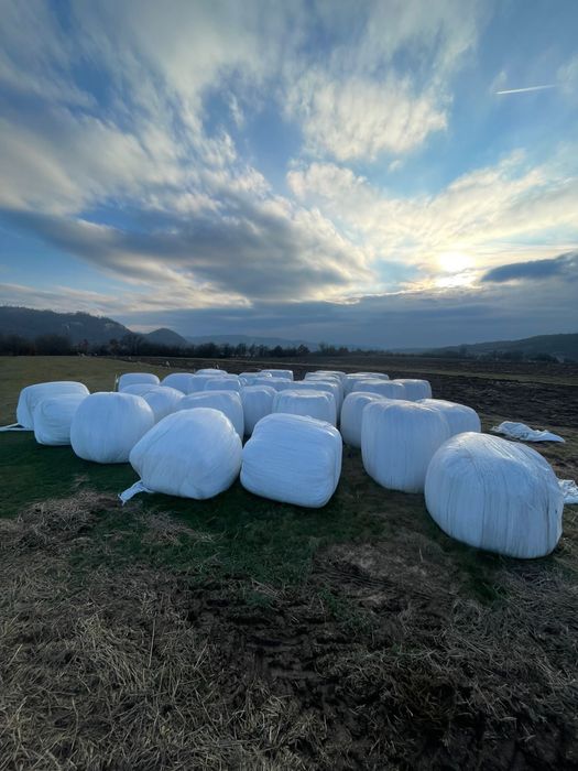 Vand baloti infoliati de lucerna