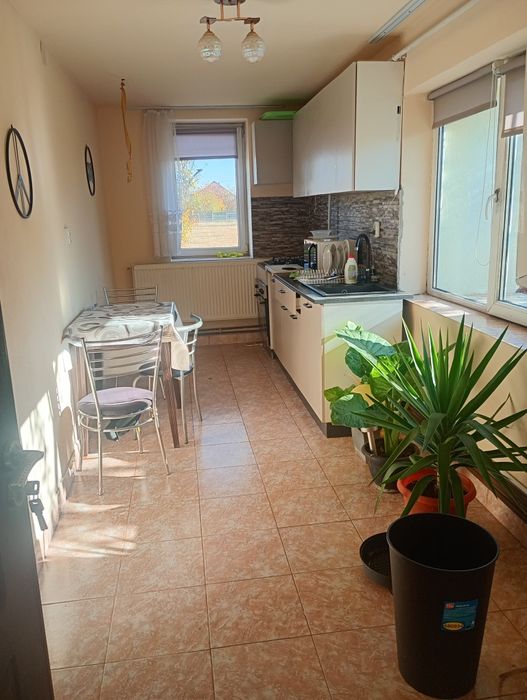 Regim hotelier Chișineu cris