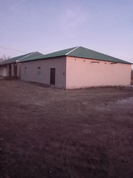 Nukus Tahiyatashda hamza   6 ti Xonali