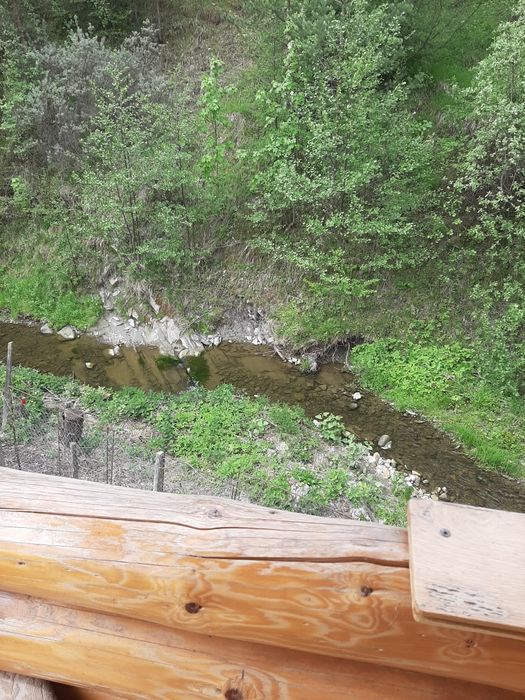 Vilă unică la liziera pădurii-stațiunea Soveja