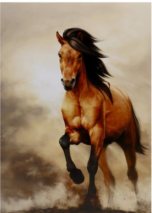 Говядина Конина Баранина !!!