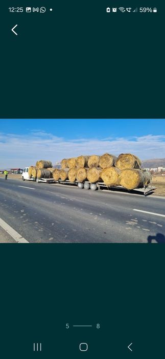 Tractari busteni sinaia azuga comarnic