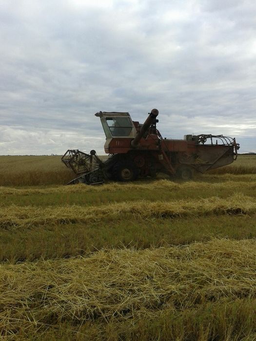 Готов к работе комбайн НИВА
