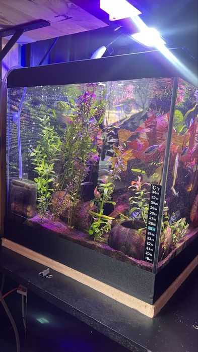 Продам аквариум