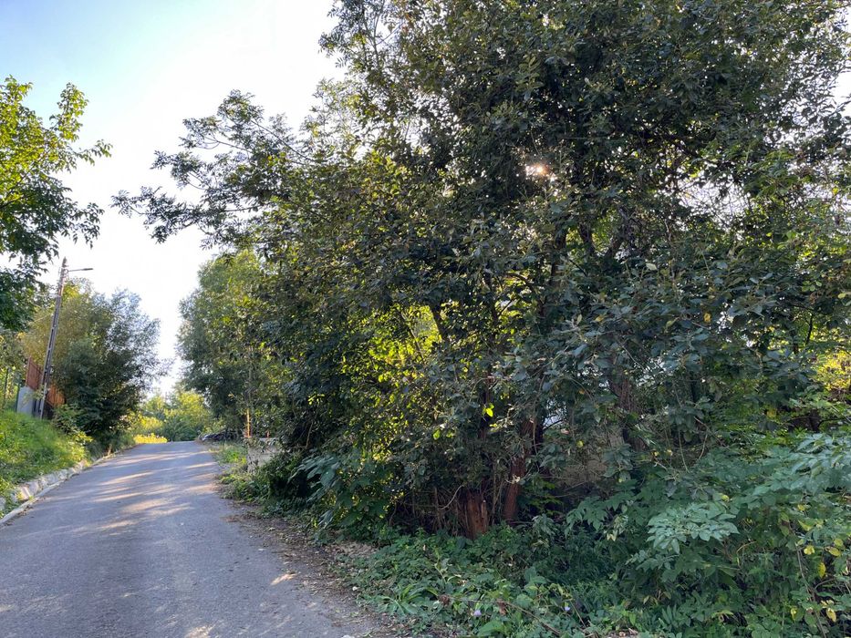 Teren 2030 mp | Sat Gheorghieni  | Asfaltat  |  Pers. Fizica