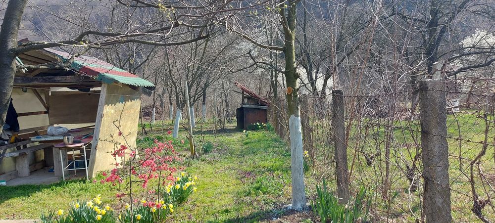 Teren  intrare Herculane ,E70.