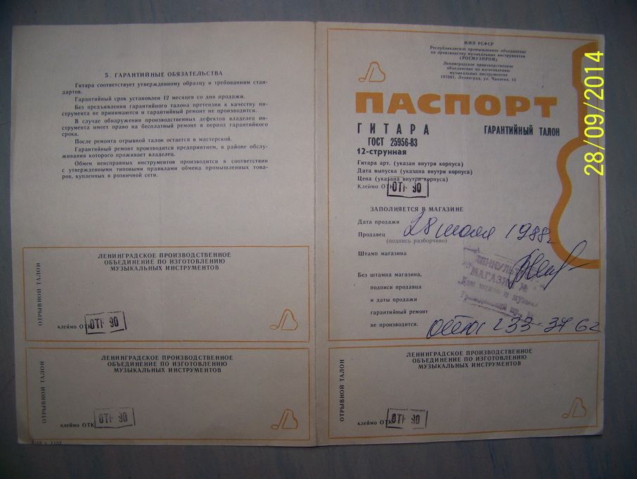 Двенадцатиструнная гитара