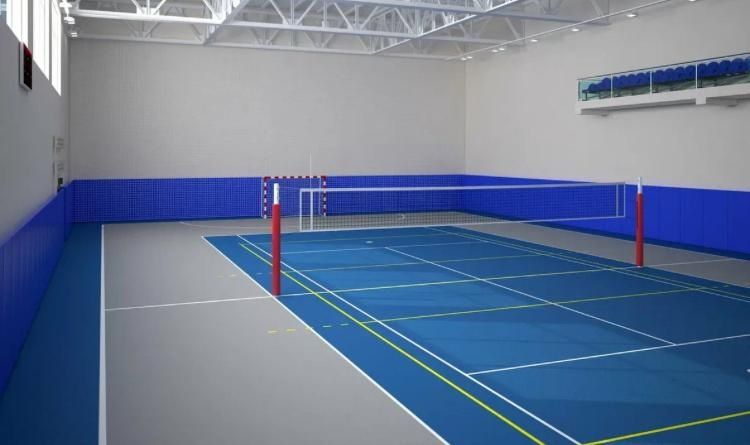 Спортивный ленолеум