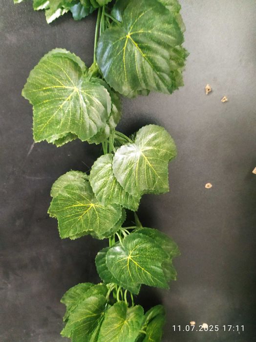 Barglar suniy xar hil turda