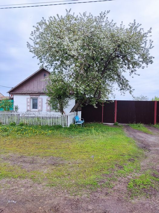 Продам дом за городом. Нечаевка