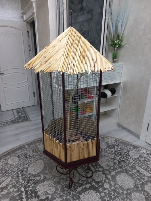 Валер Кафас кушлар учун