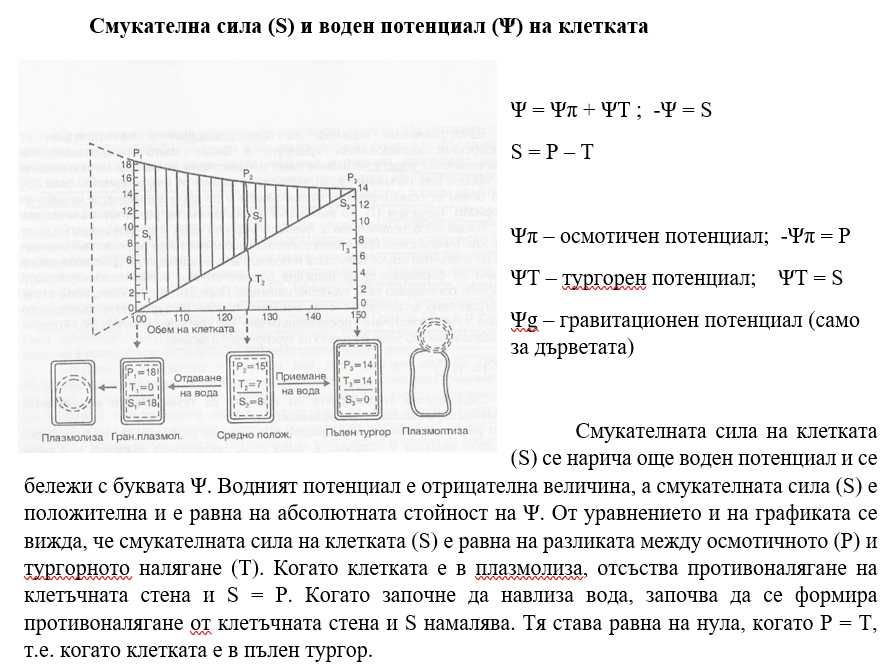 Физиология на растенията - лекционен материал