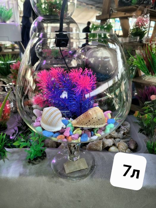 Рюмка аквариум 7 . 10 , 12л