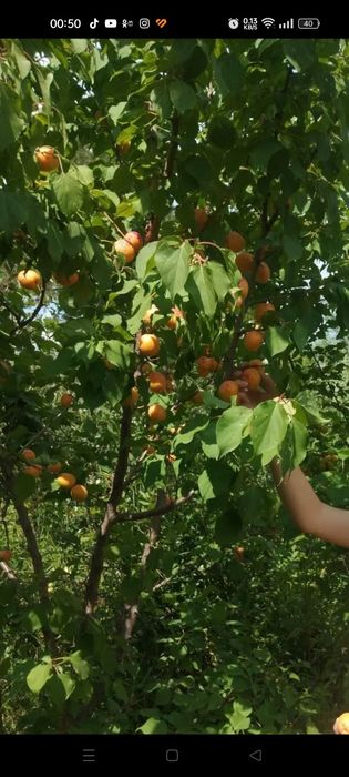 Продам дачу район ГМЗ