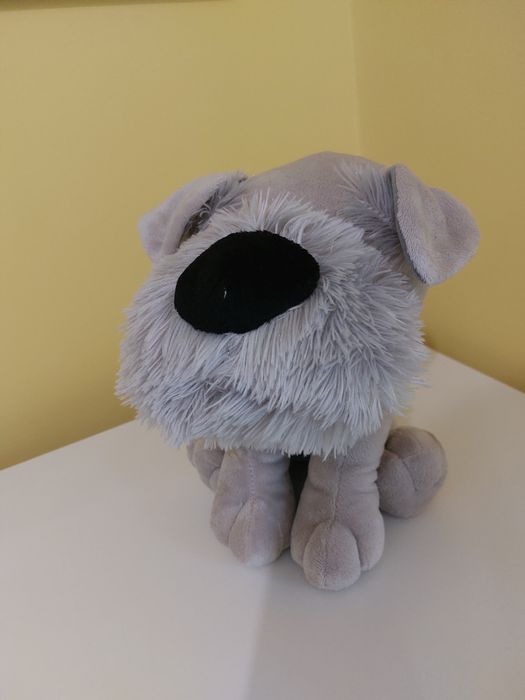 Плюшено кученце - Италия