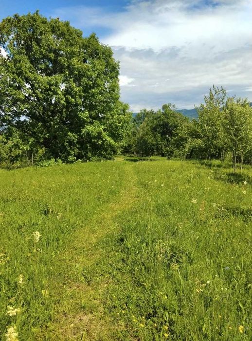 Casă Spatioasa 5 dormitoare intravilan Calimanesti