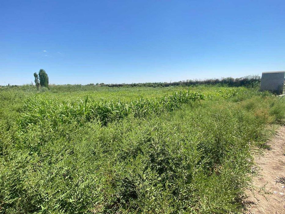 Хожели Пристинь де жер план сатылады