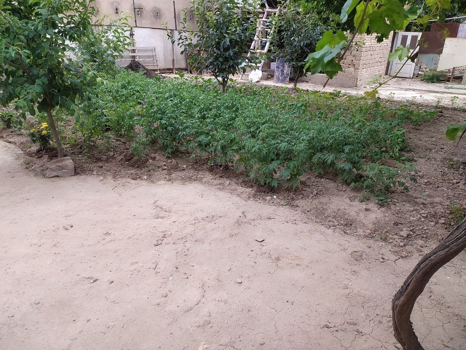 Срочна Азочикда ховли Уй сотилади 7,5сотх срочна нархи келишилади..