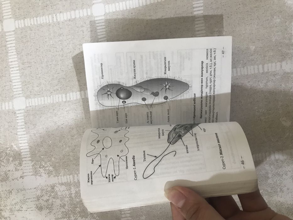 Джованна Антонелли порно видеода