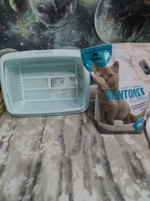 Лоток и наполнитель