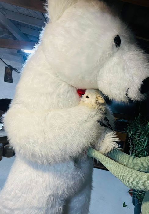 Костюм бяла мечка