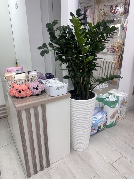 Продается Готовый Бизнес - Детская одежда