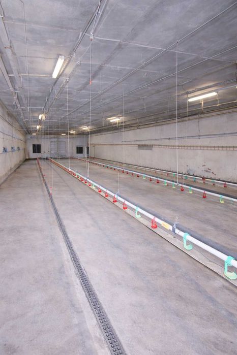 Производствена база 1224 кв.м с 6 дка и трафопост 250 kVA – обл. Варна