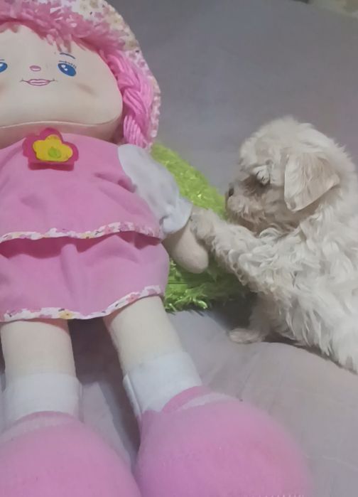 Чудесная девочка