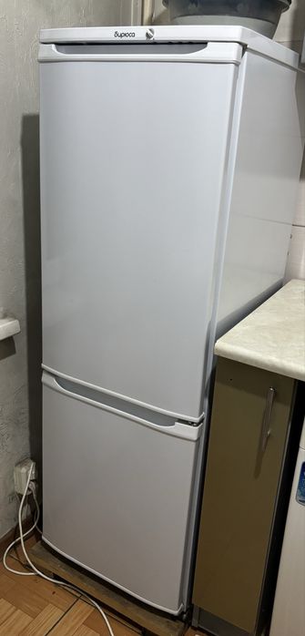 Холодилькин бирюса