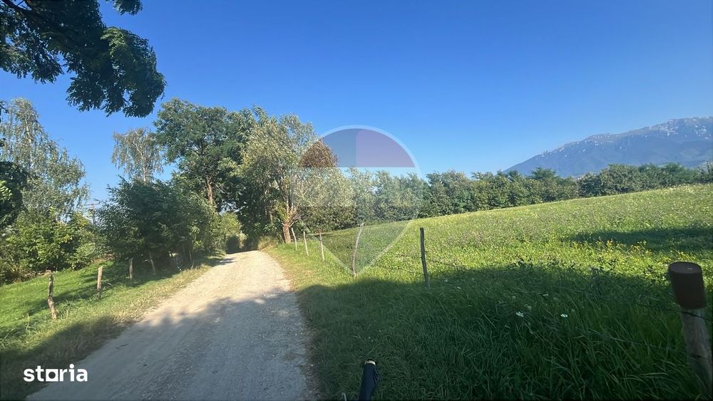 Teren 3,000mp Predelut / Strada Pe Tarina
