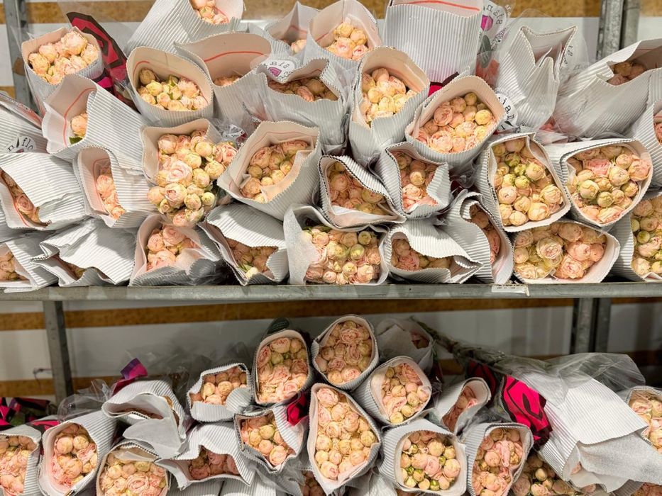 Пионы, Розы со склада