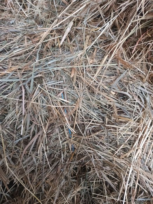 Baloti de paie și fân