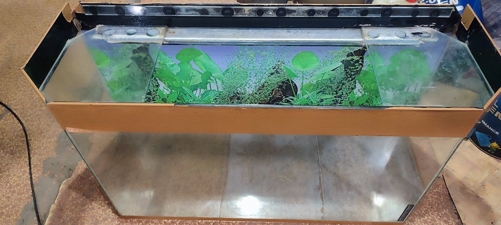 Аквариум для рыбок