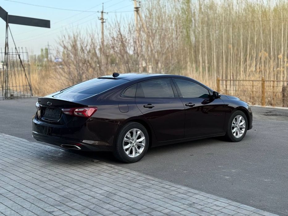 Malibu 2  Premier бардовый ранг