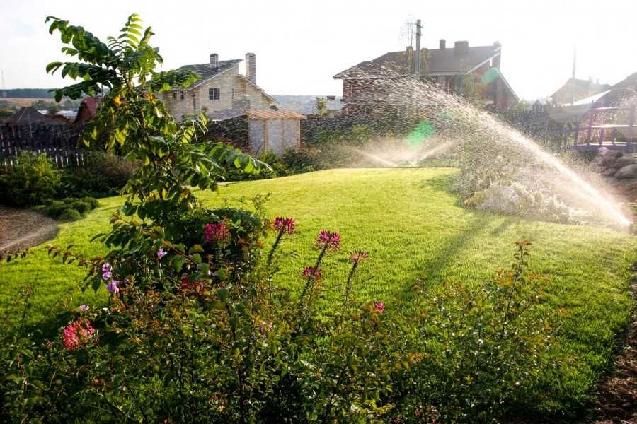 Полив газонов , система автоматического полива .