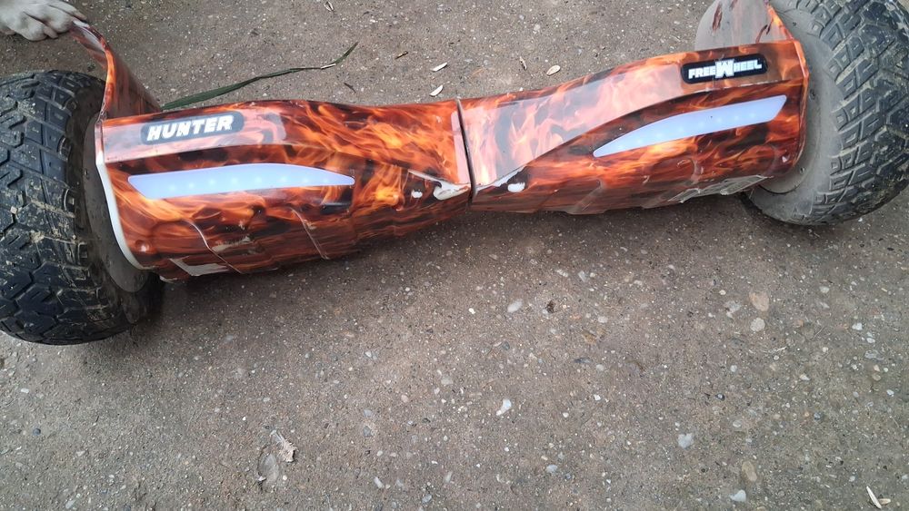 Haveboard  copii