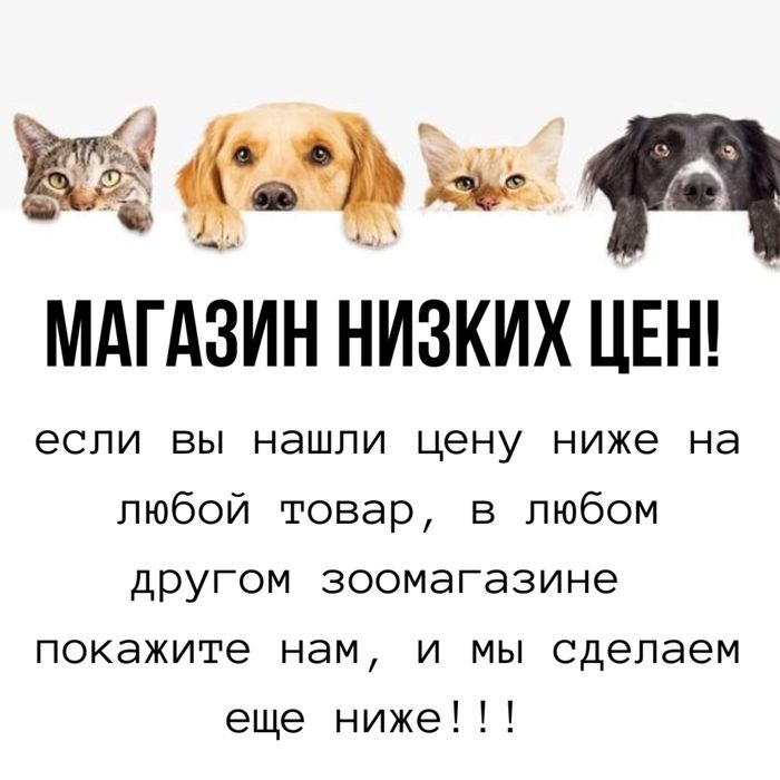 Сухой корм для кошек trendline