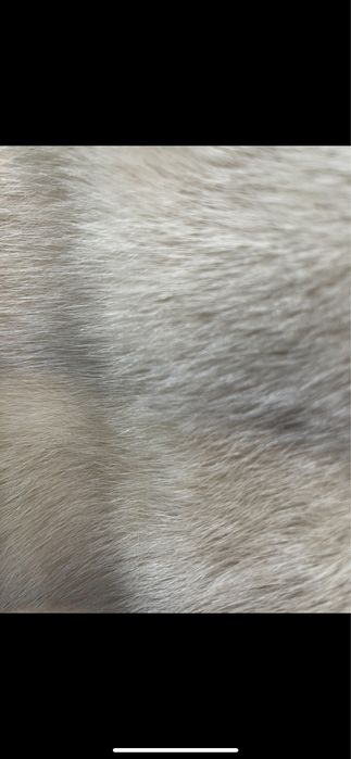 Шуба норковая