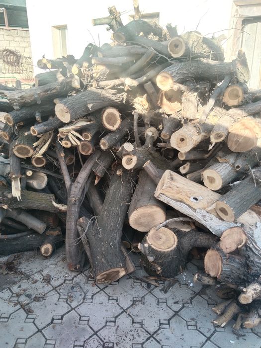 Дрова на шашлика карагач