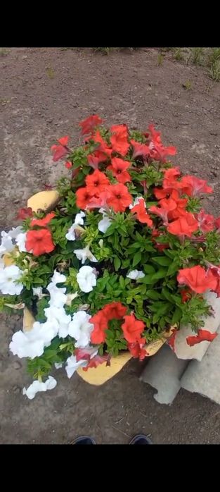 Продается дача .